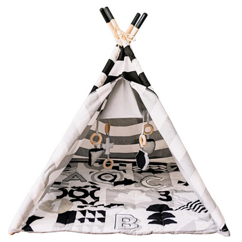 Wonder & Wise: Baby Activity Tent - ABC