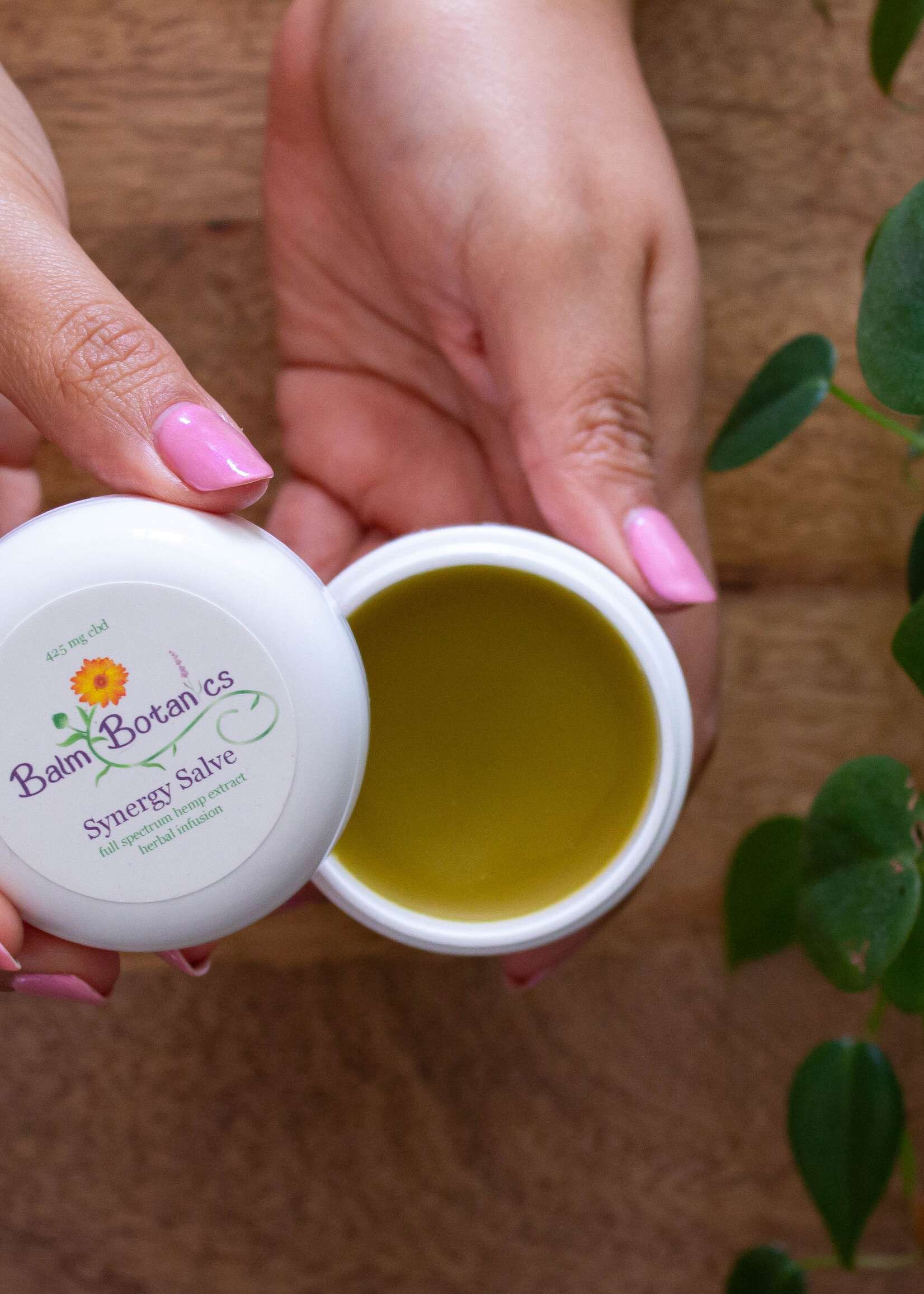 Balm Botanics Balm Botanics Synergy Salve