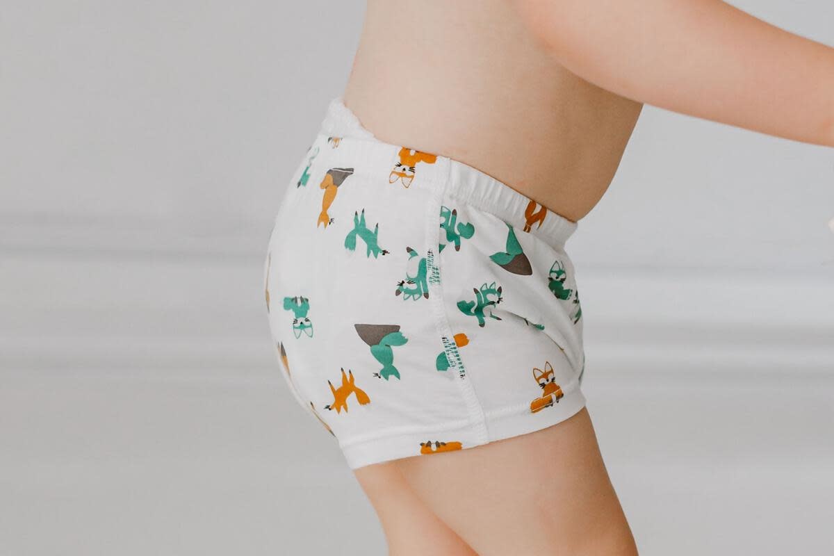 Boys Boxers - Foxes (2 Pack)