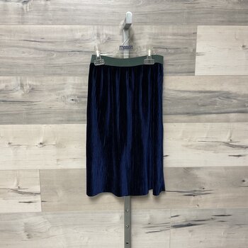 Blue Velvet Ribbed Skirt
