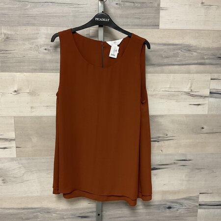 Rust Sheer Top - Size 1X