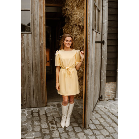 Butter Yellow Dress