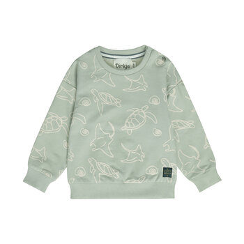 Soft Sage Sweater Turtles