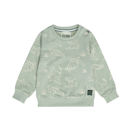 Soft Sage Sweater Turtles