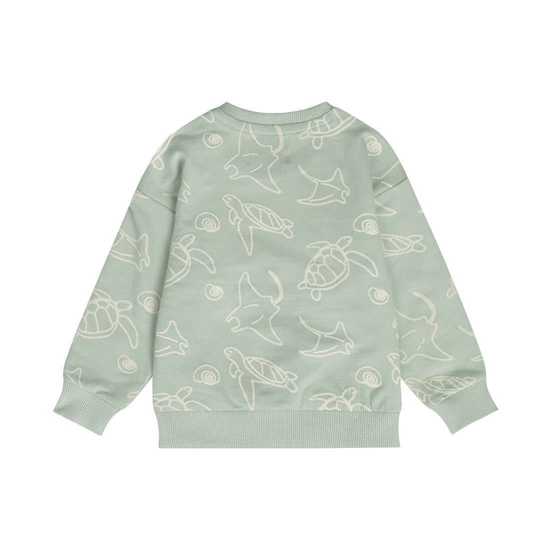 Soft Sage Sweater Turtles