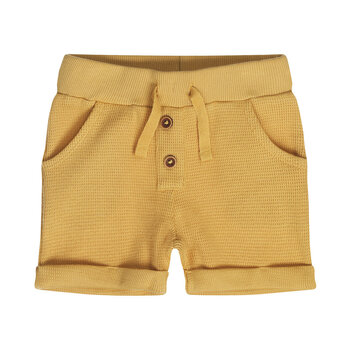Camel Shorts
