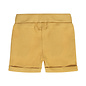 Camel Shorts