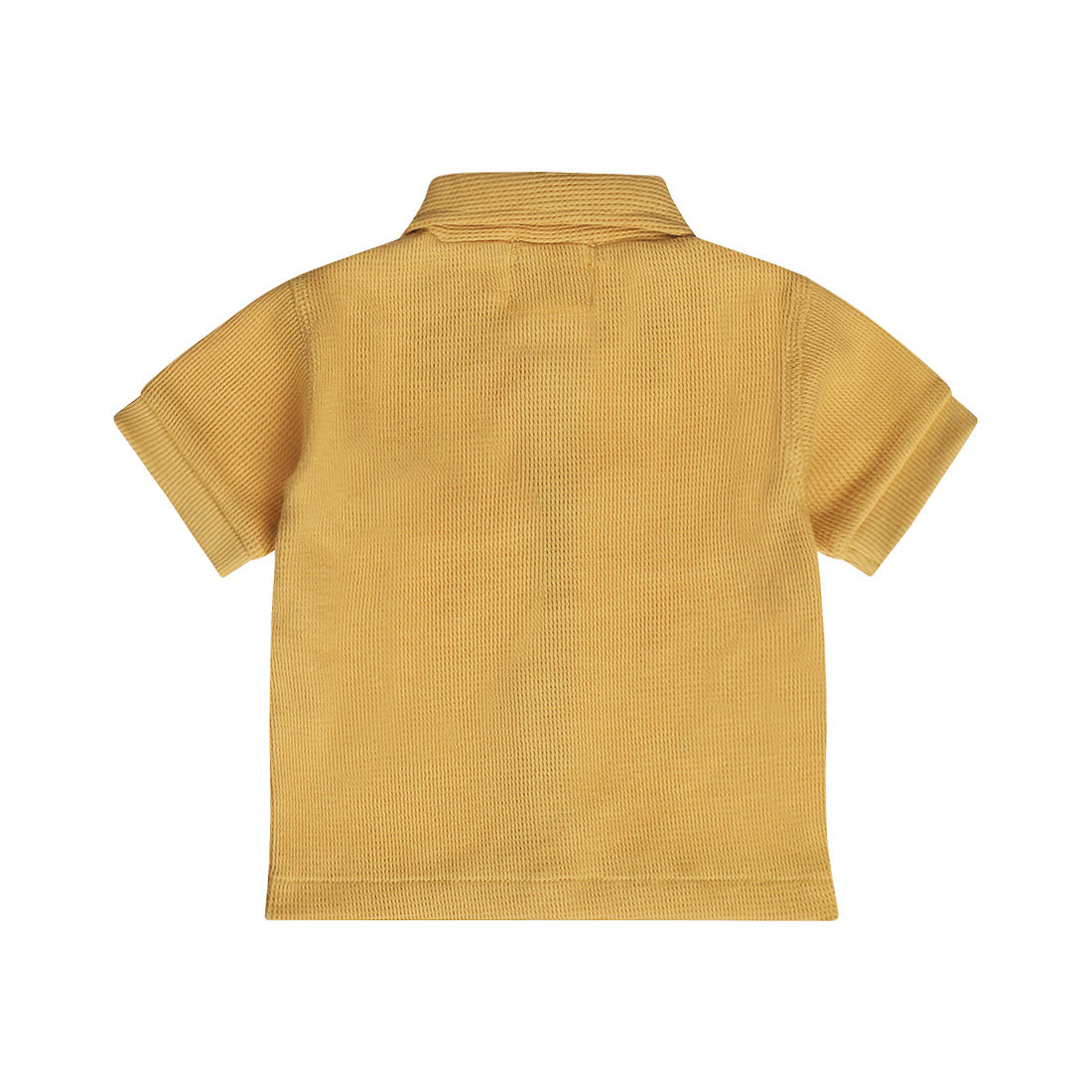 Camel Tshirt Short Sleeve
