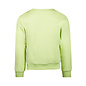 Pistaco Green Sweater Embroidered Flowers