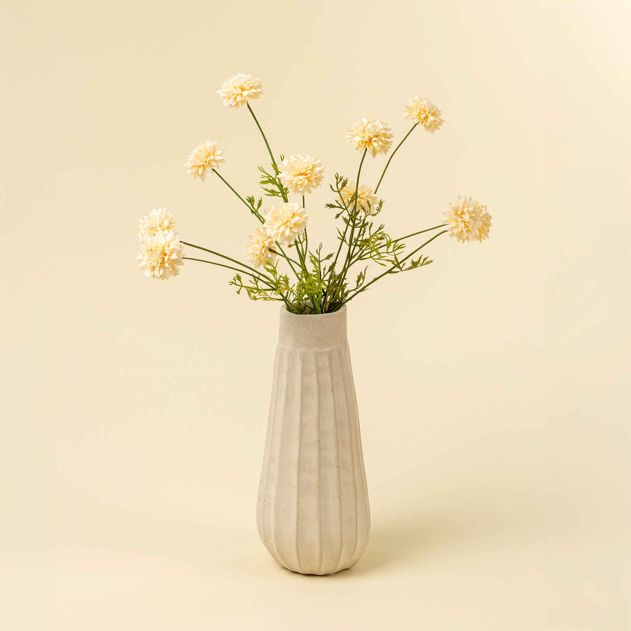 Mini Chrysanthemum, Cream