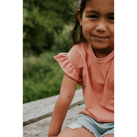 Blushed Terra Tshirt Loose Fit