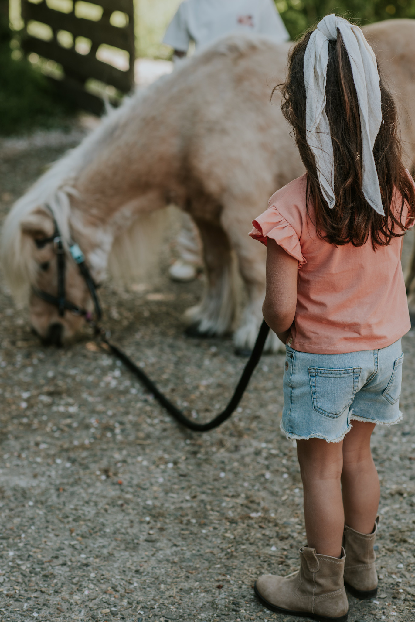 Blushed Terra Tshirt Loose Fit
