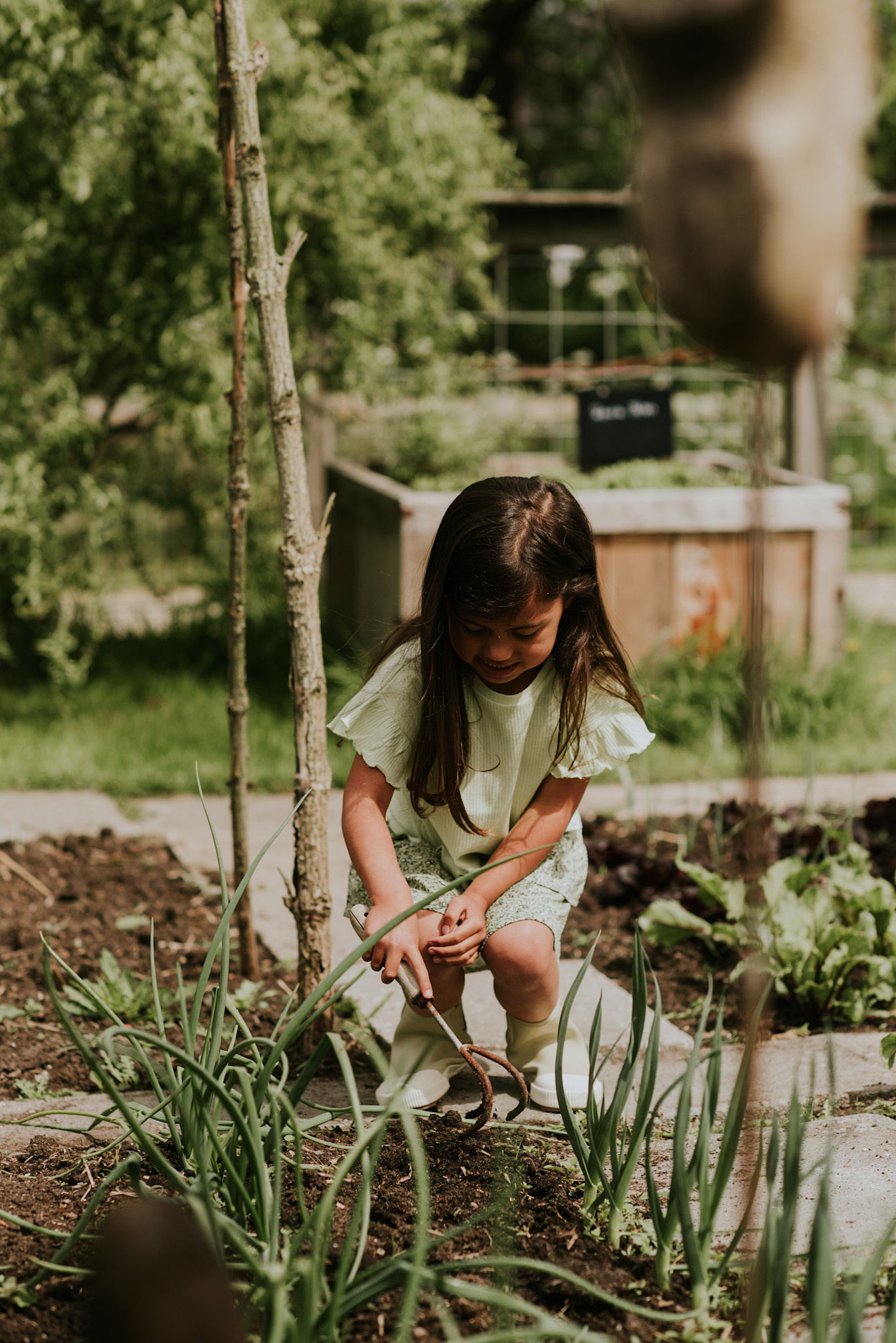 Pistachio Green Tshirt Loose Fit