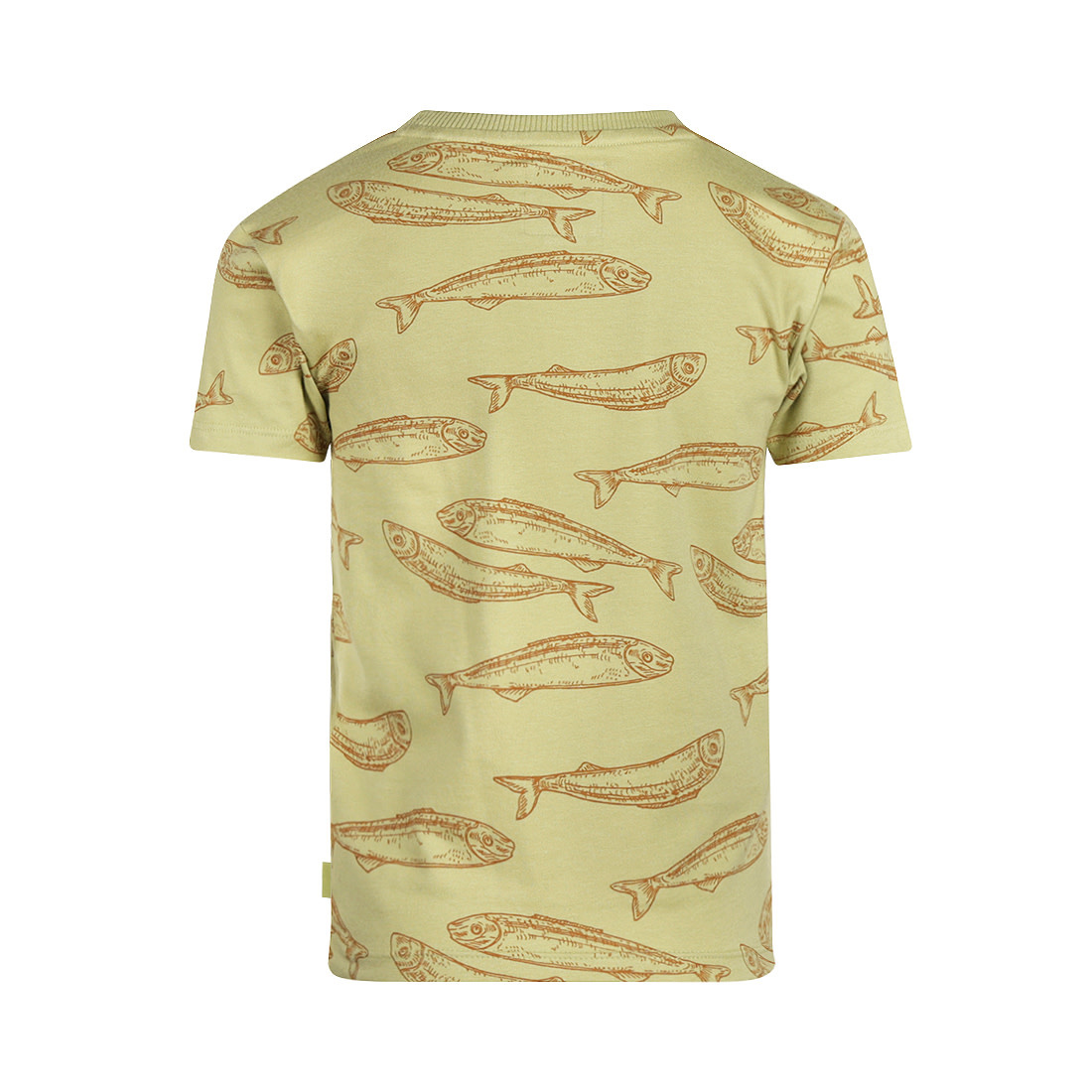 Faded Green Tshirt Fish