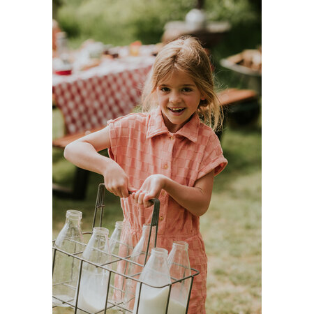 Blushed Terra Checkerd Dress