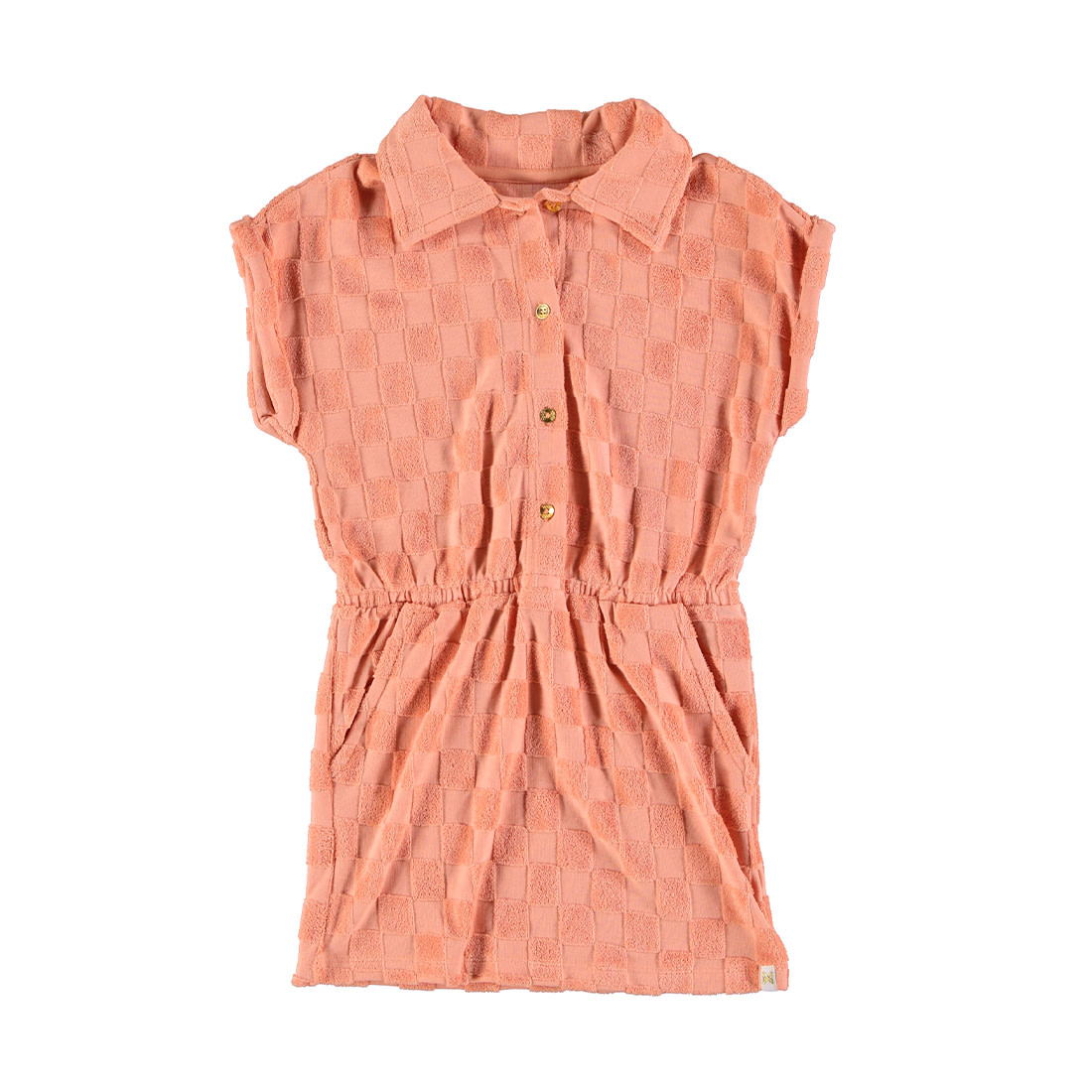 Blushed Terra Checkerd Dress