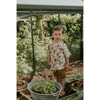 Caramel Brown Shorts Regular