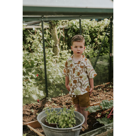 Caramel Brown Shorts Regular