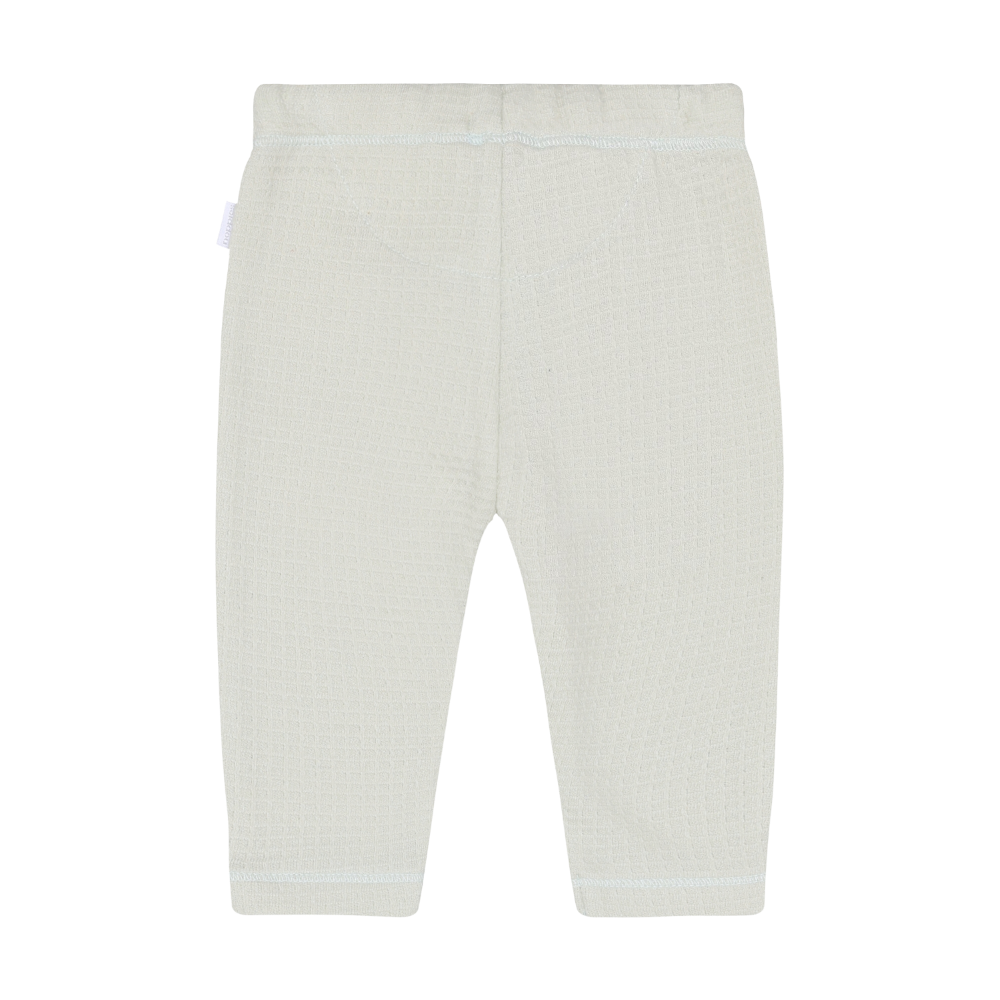 Pants Regular Fit Green Tint