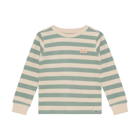 Tshirt Longsleeve Stripe Green
