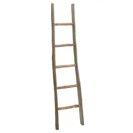 LADDER WOOD NAT 15X2.75X72