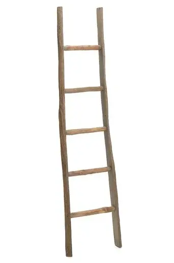 LADDER WOOD NAT 15X2.75X72