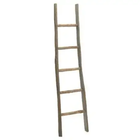 LADDER WOOD NAT 15X2.75X60