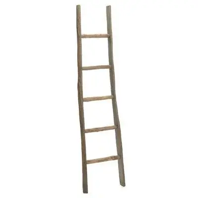 LADDER WOOD NAT 15X2.75X60