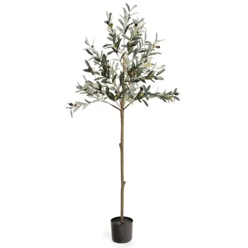 OLIVE TREE POTTED GREEN 20x60H