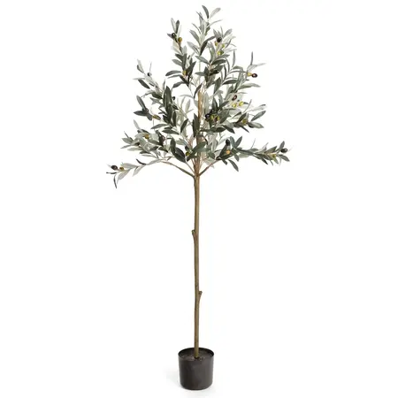 OLIVE TREE POTTED GREEN 20x60H