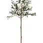 OLIVE TREE POTTED GREEN 20x60H
