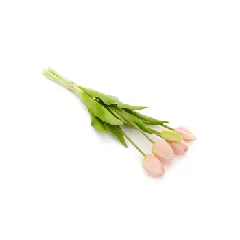 BUNDLE TULIP LT PINK 5X16H