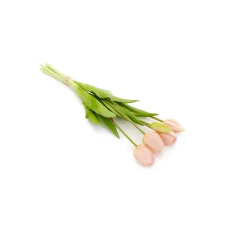 BUNDLE TULIP LT PINK 5X16H