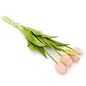BUNDLE TULIP LT PINK 5X16H