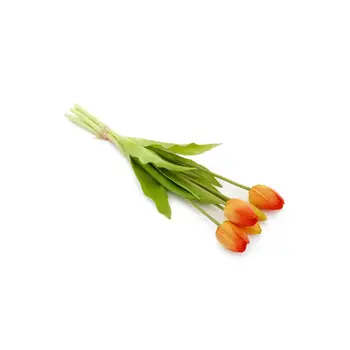 BUNDLE TULIP ORANGE 5X16H