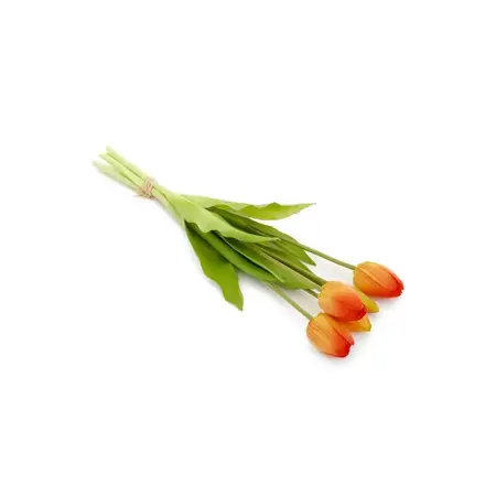 BUNDLE TULIP ORANGE 5X16H
