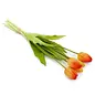 BUNDLE TULIP ORANGE 5X16H