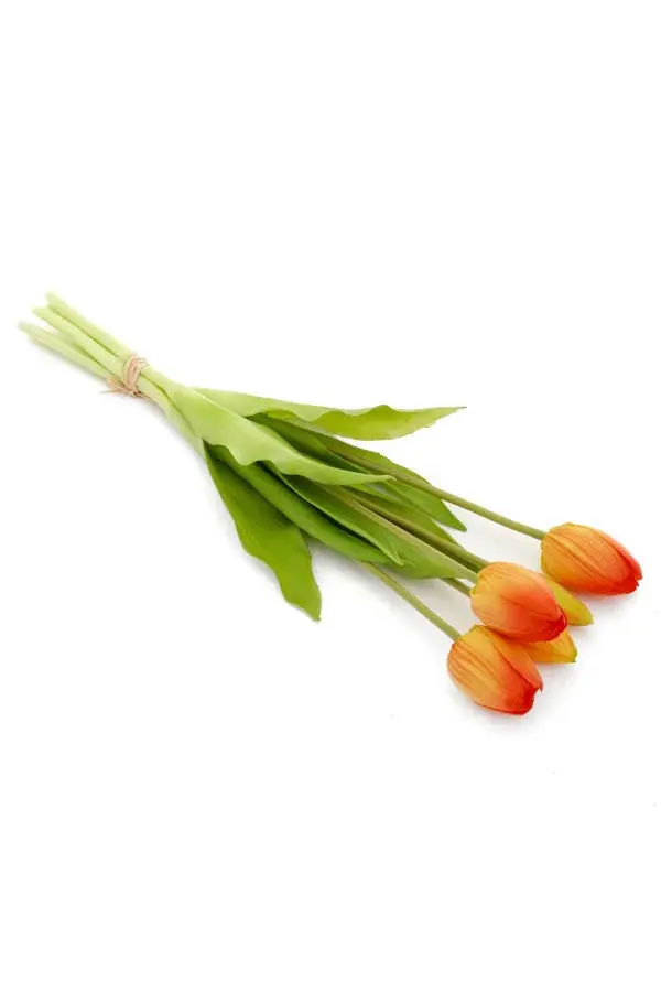 BUNDLE TULIP ORANGE 5X16H