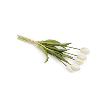 BUNDLE TULIP WHITE 5X16H