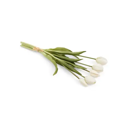BUNDLE TULIP WHITE 5X16H