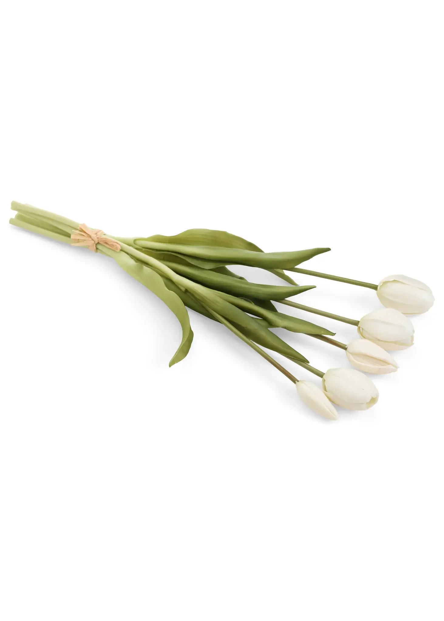 BUNDLE TULIP WHITE 5X16H