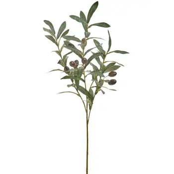 OLIVE BRANCH PLST GREEN/BLACK 10X29