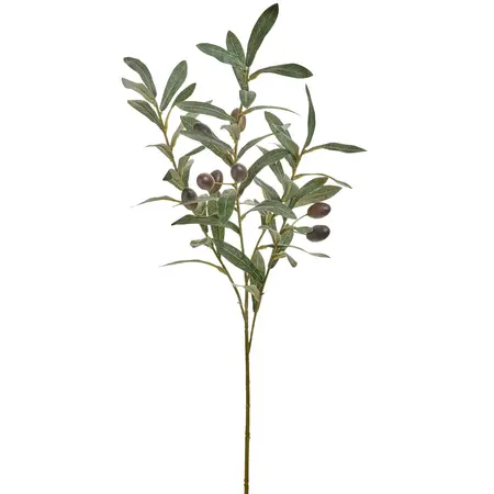 OLIVE BRANCH PLST GREEN/BLACK 10X29