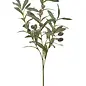 OLIVE BRANCH PLST GREEN/BLACK 10X29