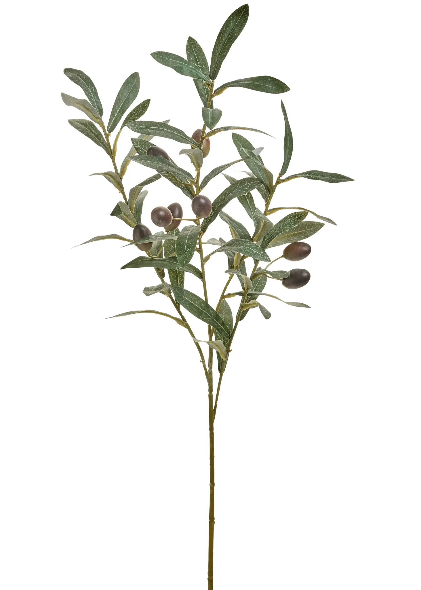 OLIVE BRANCH PLST GREEN/BLACK 10X29