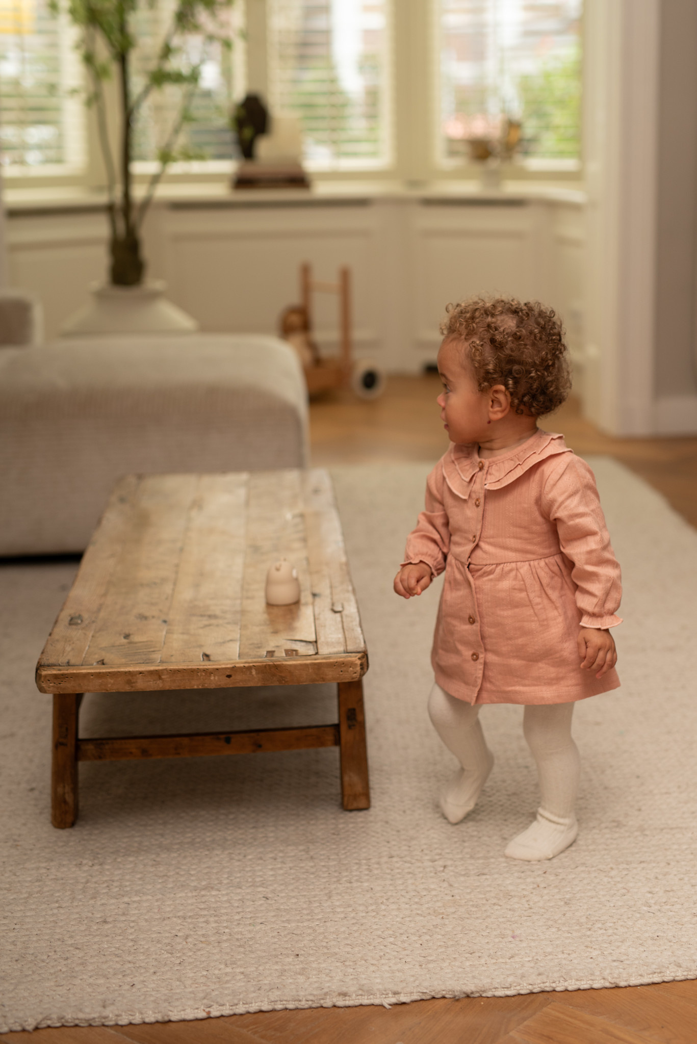 Dress Misty Rose Ruffle