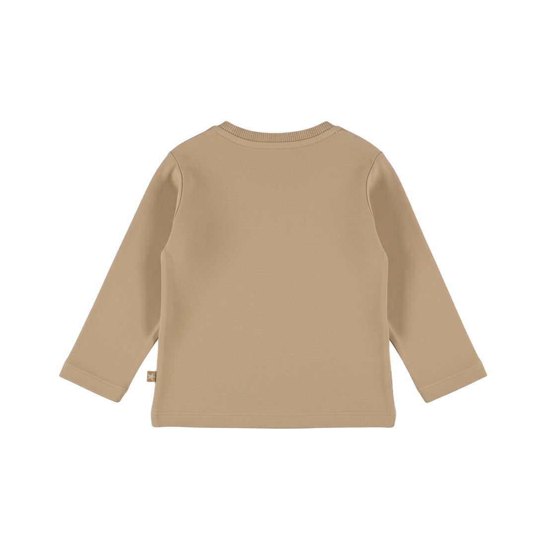 Longsleeve Cornstalk