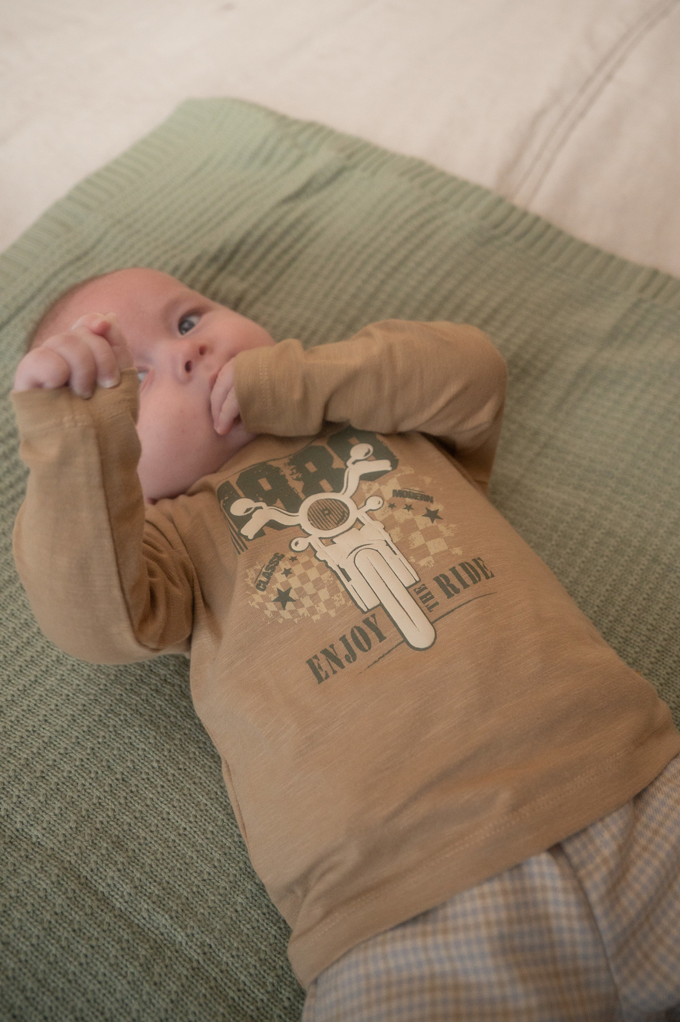 Longsleeve Cornstalk
