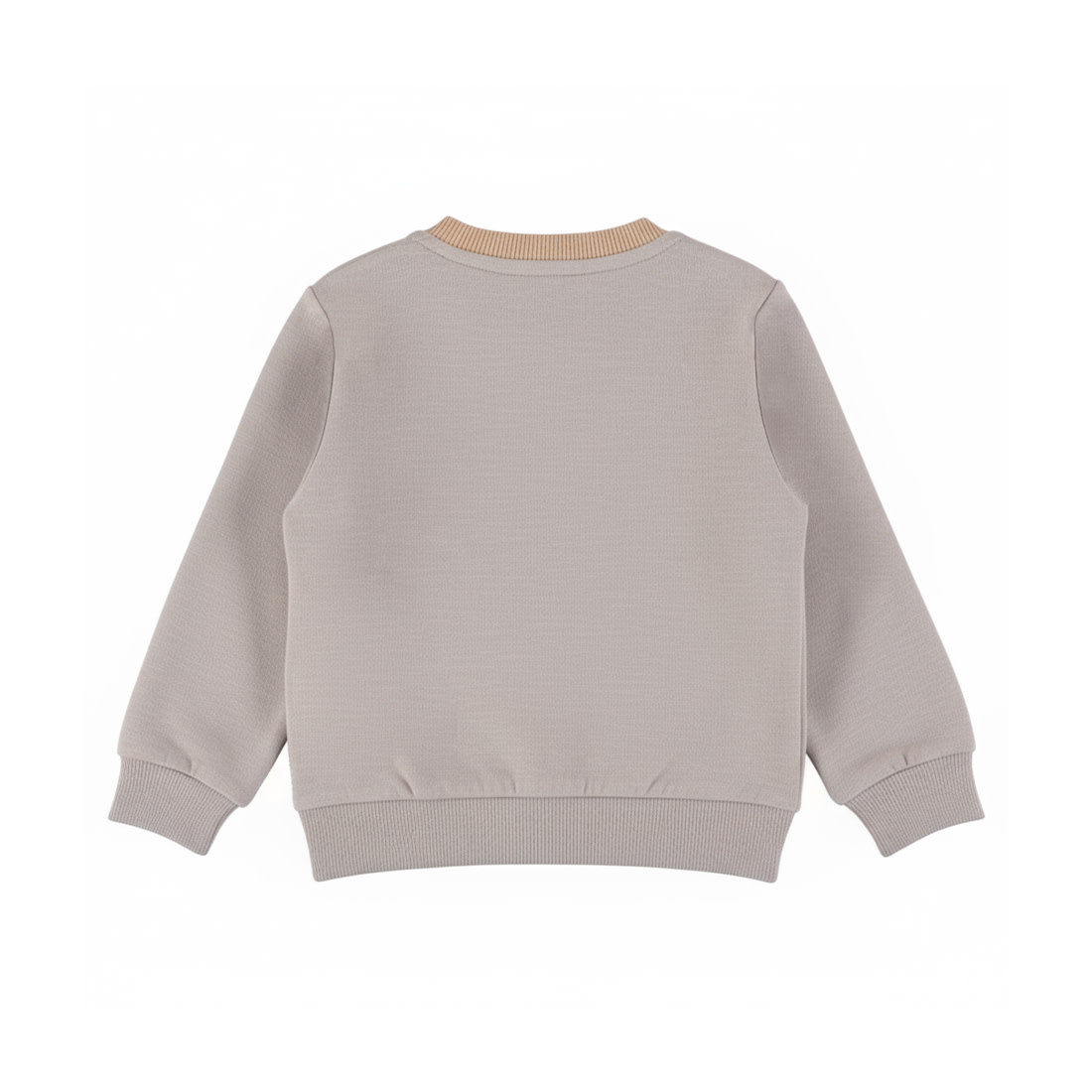 Sweater Morning Dove