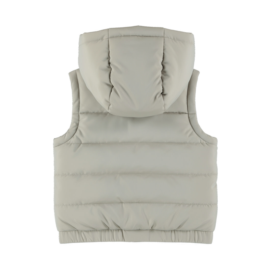 Vest Morning Dove